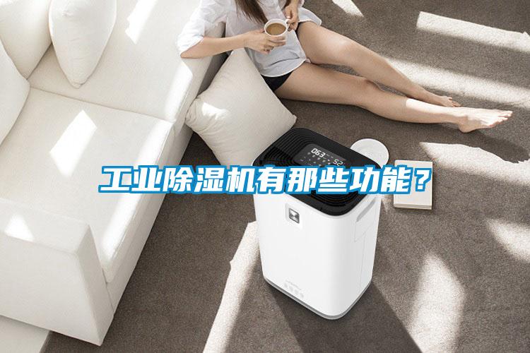 工業(yè)除濕機(jī)有那些功能？