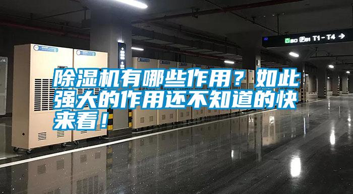 除濕機有哪些作用？如此強大的作用還不知道的快來看！