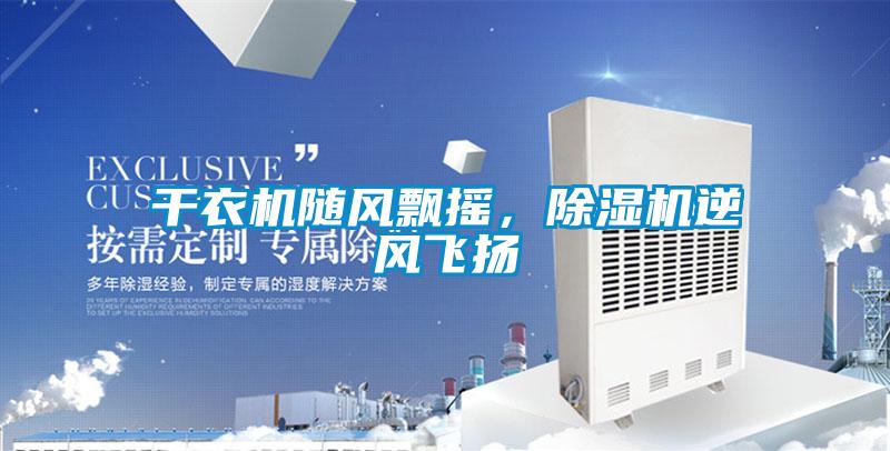 干衣機隨風飄搖，除濕機逆風飛揚