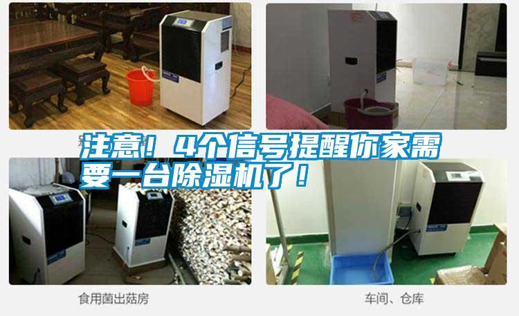 注意！4個(gè)信號(hào)提醒你家需要一臺(tái)除濕機(jī)了！