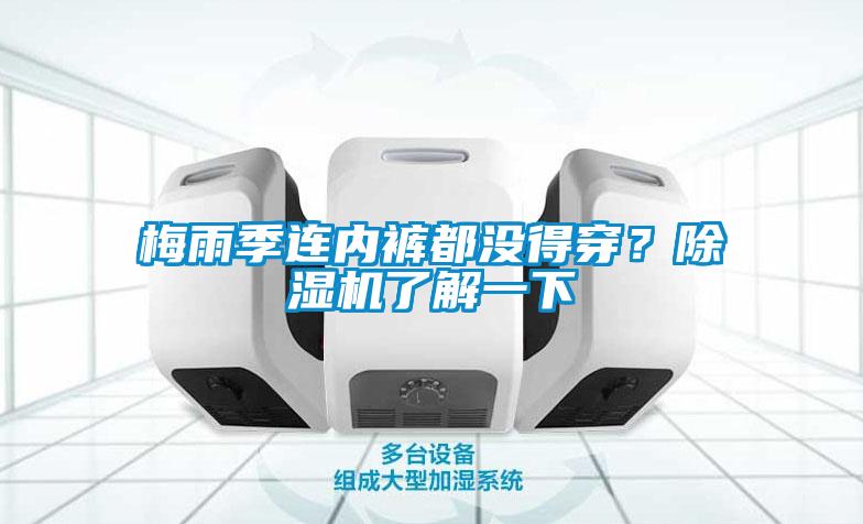 梅雨季連內褲都沒得穿？除濕機了解一下