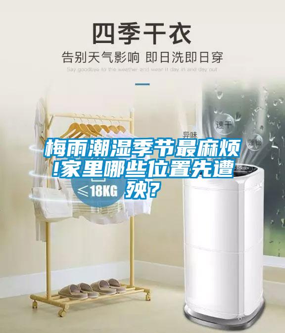 梅雨潮濕季節(jié)最麻煩!家里哪些位置先遭殃？