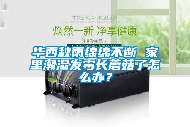華西秋雨綿綿不斷 家里潮濕發霉長蘑菇了怎么辦？
