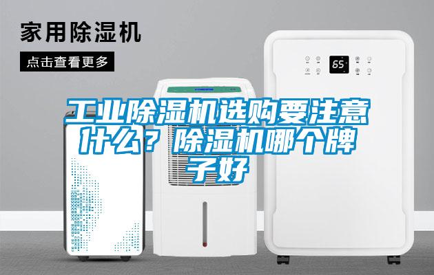 工業除濕機選購要注意什么？除濕機哪個牌子好