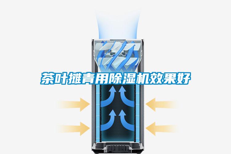 茶葉攤青用除濕機效果好