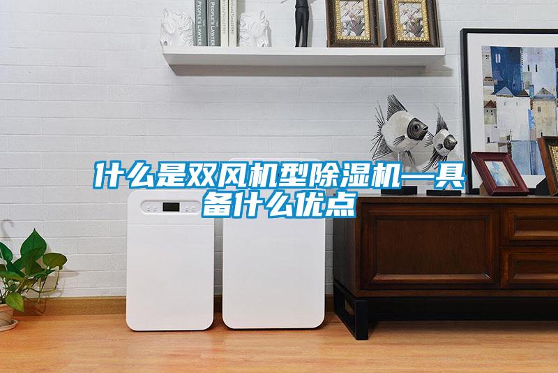 什么是雙風(fēng)機(jī)型除濕機(jī)—具備什么優(yōu)點(diǎn)
