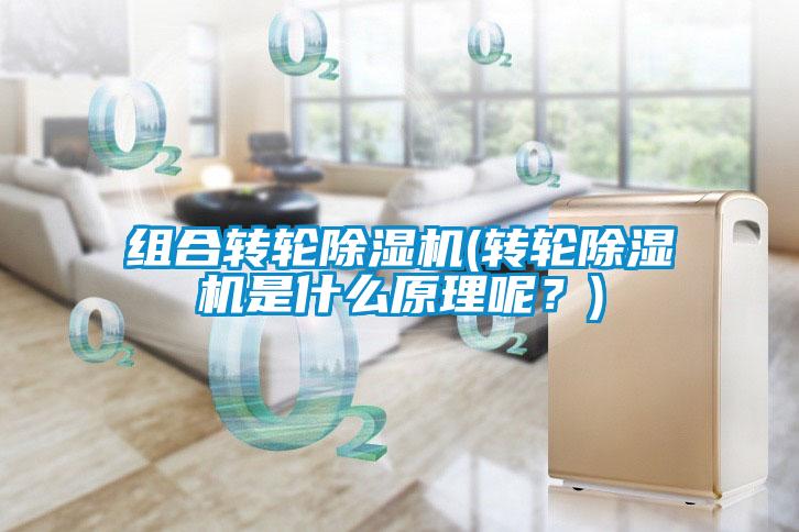 組合轉輪除濕機(轉輪除濕機是什么原理呢？)