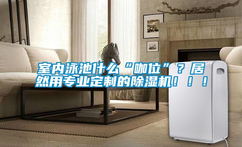 室內(nèi)泳池什么“咖位”？居然用專業(yè)定制的除濕機(jī)！！！