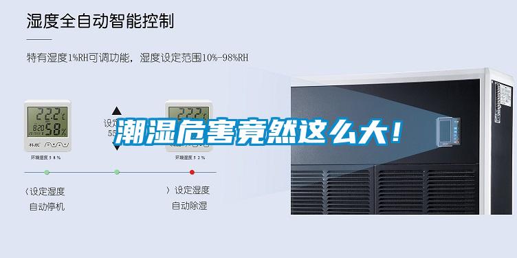 潮濕危害竟然這么大！