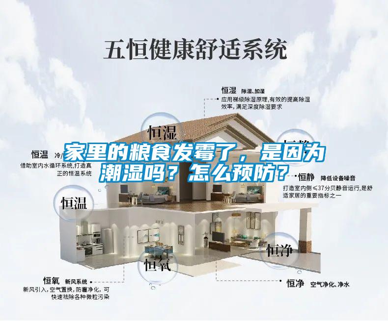 家里的糧食發霉了，是因為潮濕嗎？怎么預防？