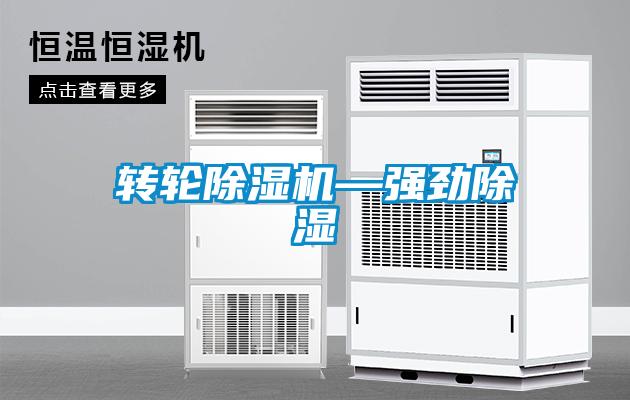 轉(zhuǎn)輪除濕機—強勁除濕