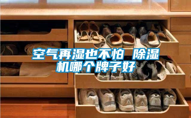 空氣再濕也不怕 除濕機哪個牌子好