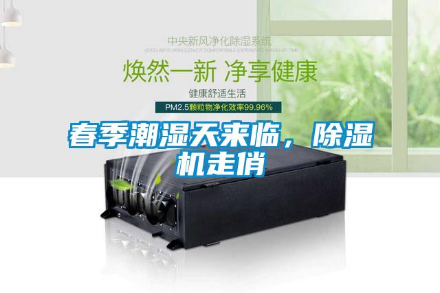 春季潮濕天來(lái)臨，除濕機(jī)走俏