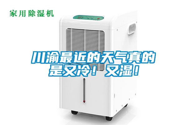 川渝最近的天氣真的是又冷！又濕！