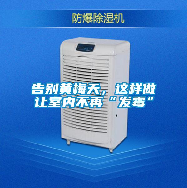 告別黃梅天，這樣做讓室內(nèi)不再“發(fā)霉”
