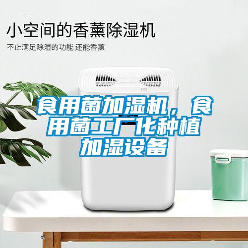 食用菌加濕機，食用菌工廠化種植加濕設備