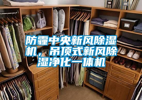 防霾中央新風除濕機，吊頂式新風除濕凈化一體機