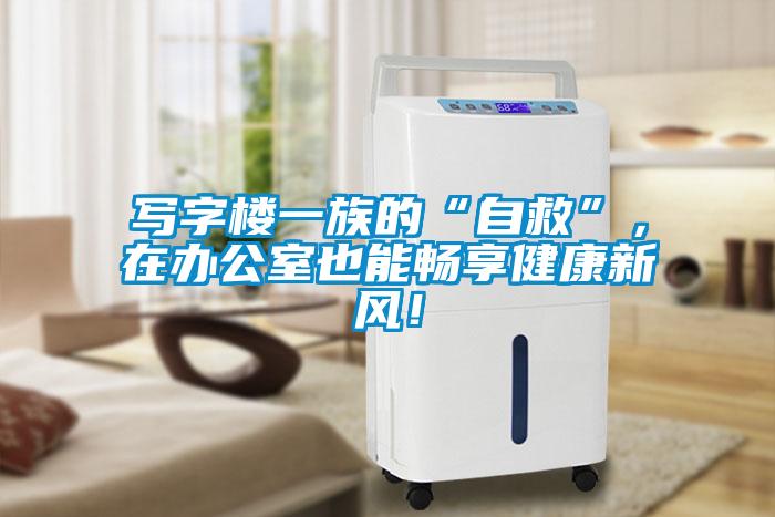 寫字樓一族的“自救”，在辦公室也能暢享健康新風！