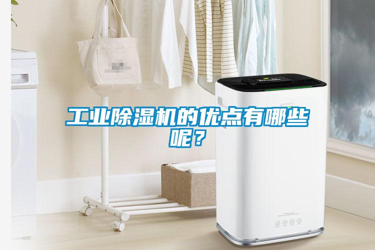 工業除濕機的優點有哪些呢？