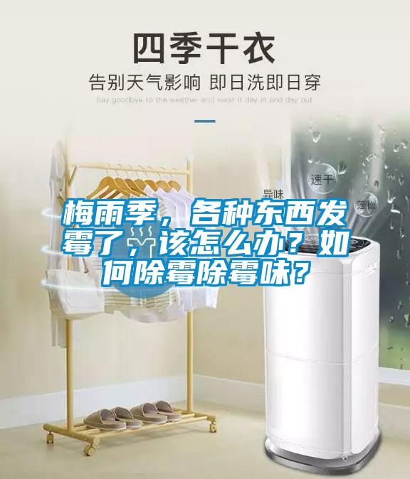梅雨季，各種東西發霉了，該怎么辦？如何除霉除霉味？