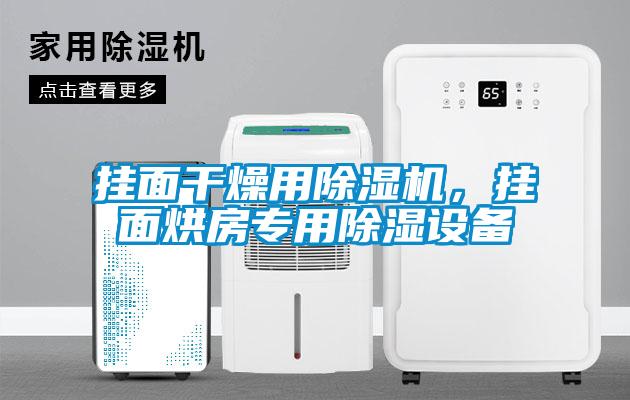 掛面干燥用除濕機，掛面烘房專用除濕設備