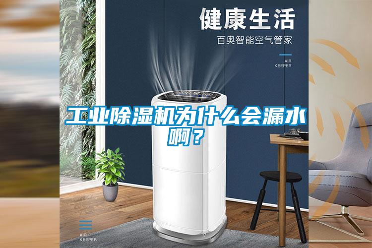 工業(yè)除濕機(jī)為什么會(huì)漏水啊？