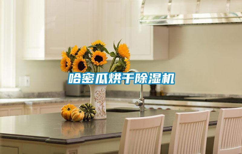 哈密瓜烘干除濕機