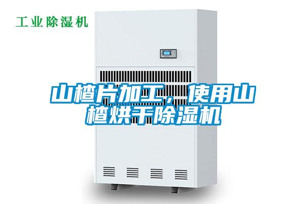 山楂片加工，使用山楂烘干除濕機