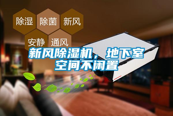 新風除濕機，地下室空間不閑置