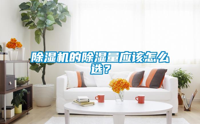 除濕機的除濕量應(yīng)該怎么選？