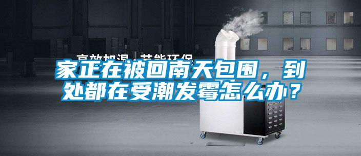 家正在被回南天包圍，到處都在受潮發霉怎么辦？