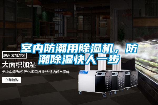 室內防潮用除濕機，防潮除濕快人一步