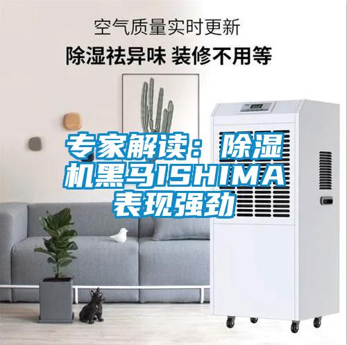 專家解讀：除濕機黑馬ISHIMA表現強勁