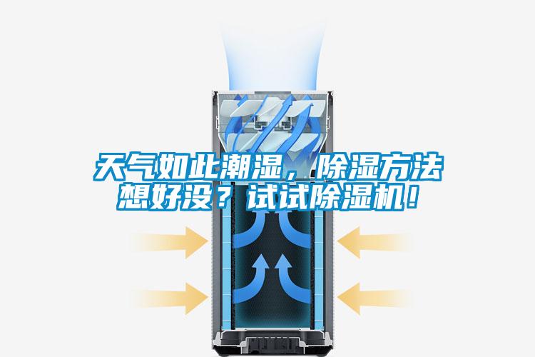 天氣如此潮濕，除濕方法想好沒？試試除濕機！