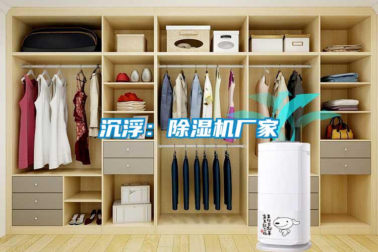 沉浮：除濕機廠家