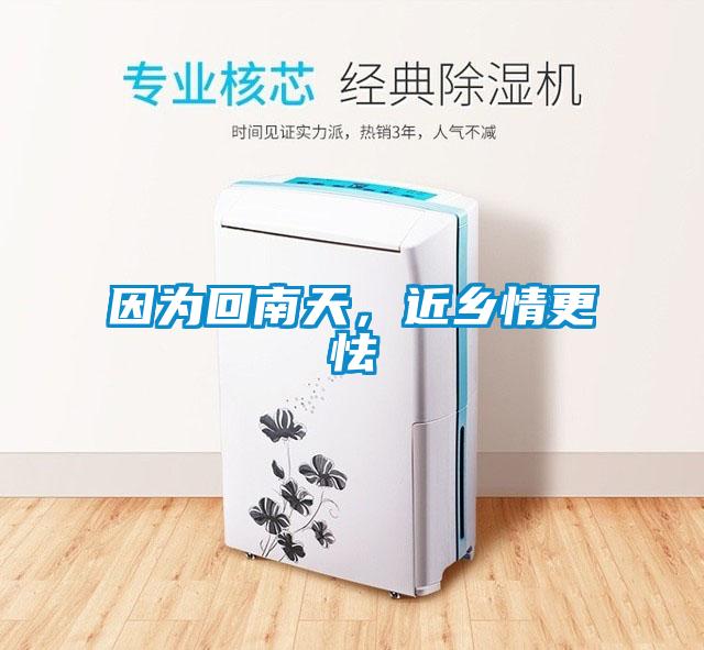 因為回南天，近鄉情更怯