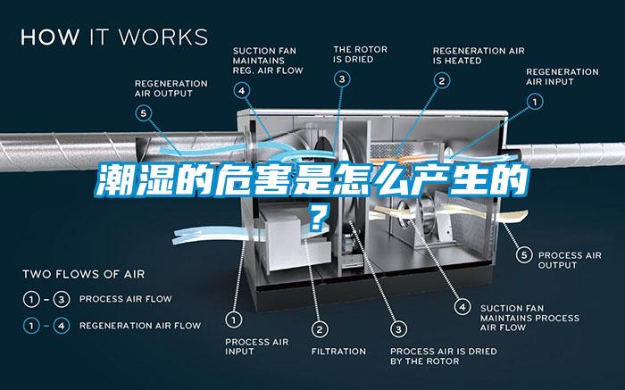 潮濕的危害是怎么產生的？