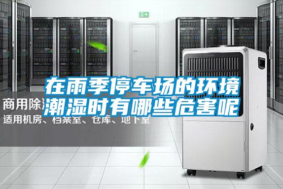 在雨季停車(chē)場(chǎng)的環(huán)境潮濕時(shí)有哪些危害呢