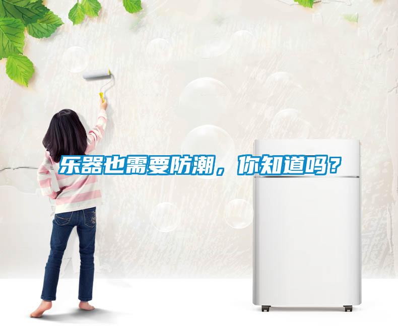樂器也需要防潮，你知道嗎？