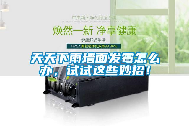 天天下雨墻面發(fā)霉怎么辦，試試這些妙招！