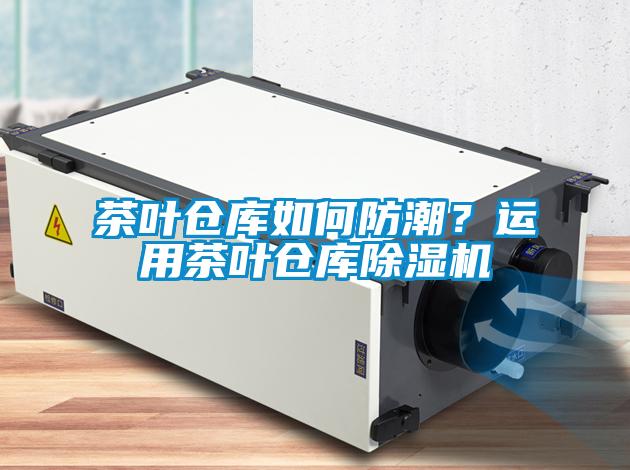 茶葉倉庫如何防潮？運用茶葉倉庫除濕機