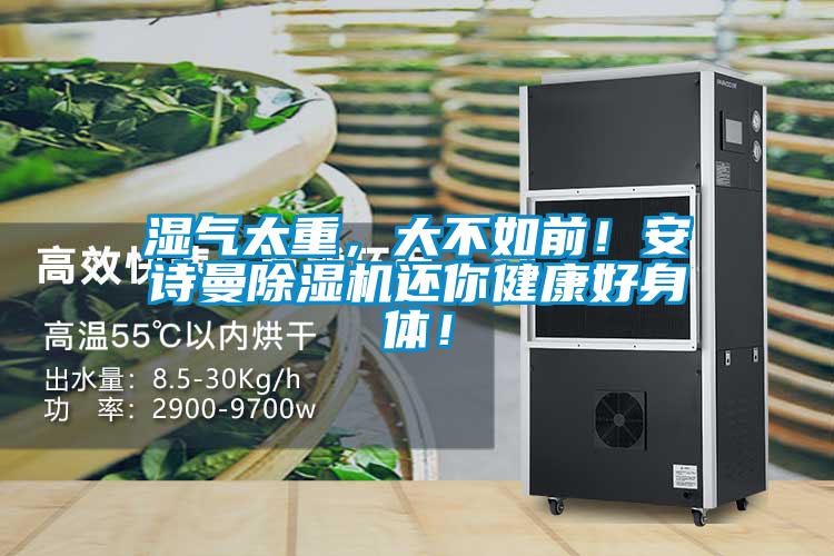 濕氣太重，大不如前！安詩曼除濕機還你健康好身體！