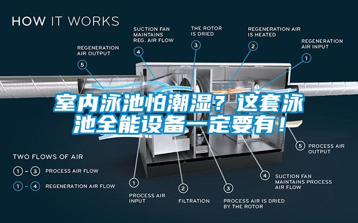 室內泳池怕潮濕？這套泳池全能設備一定要有！