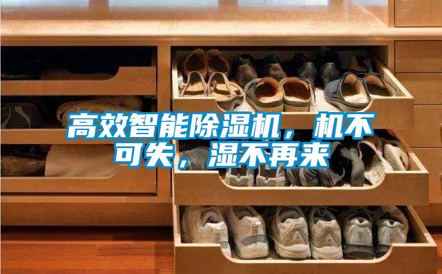 高效智能除濕機，機不可失，濕不再來
