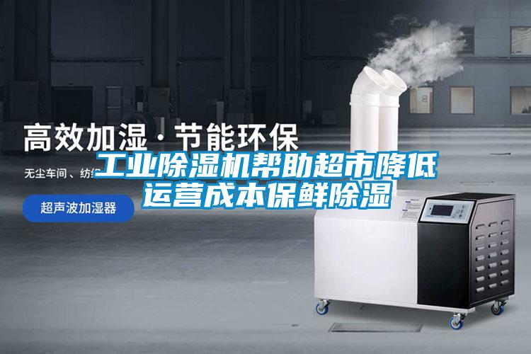 工業(yè)除濕機(jī)幫助超市降低運(yùn)營(yíng)成本保鮮除濕
