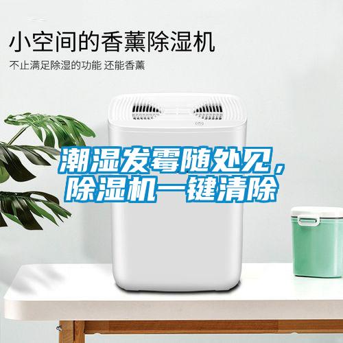 潮濕發霉隨處見，除濕機一鍵清除