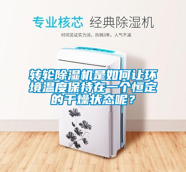 轉輪除濕機是如何讓環境溫度保持在一個恒定的干燥狀態呢？