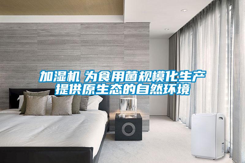 加濕機　為食用菌規模化生產提供原生態的自然環境