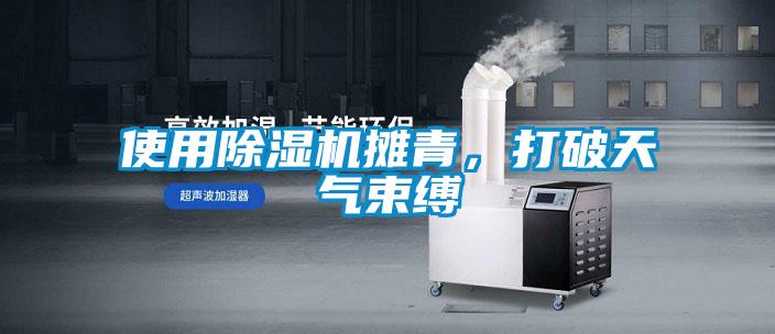 使用除濕機攤青，打破天氣束縛
