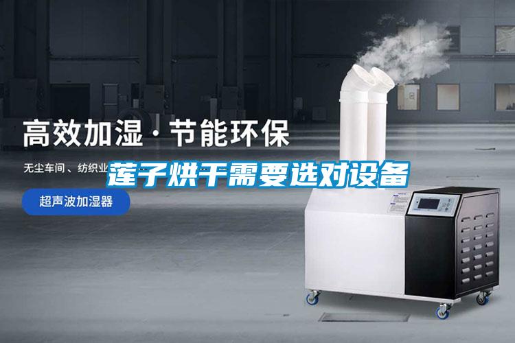 蓮子烘干需要選對(duì)設(shè)備